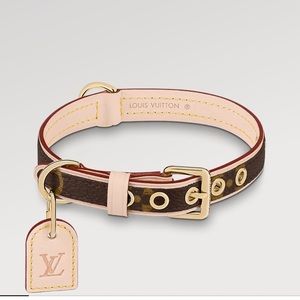 LOUIS VUITTON DOG COLLAR PM